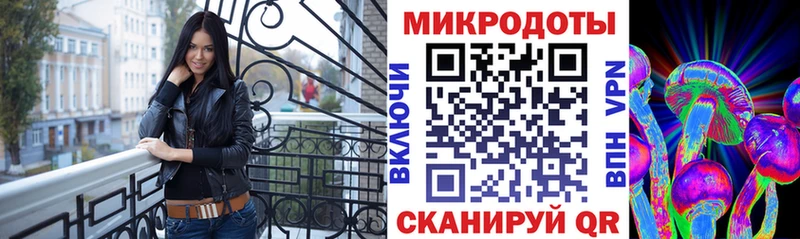 цена   Урус-Мартан  Псилоцибиновые грибы Cubensis 